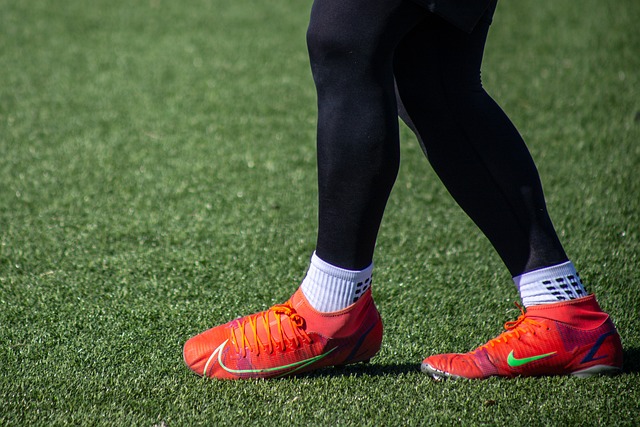 他的全能表 他的全能表