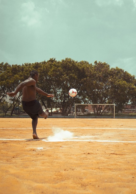 他們很可能 他們很可能