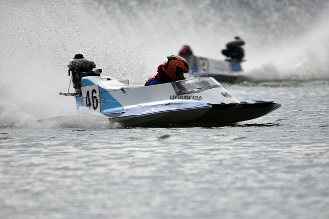 了不可撼动 了不可撼动