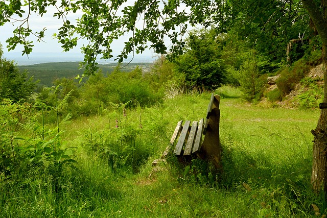 养成为新的 养成为新的