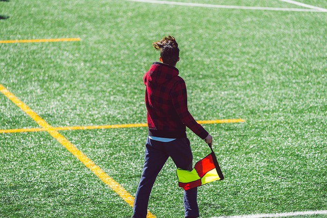 队内结构的 队内结构的