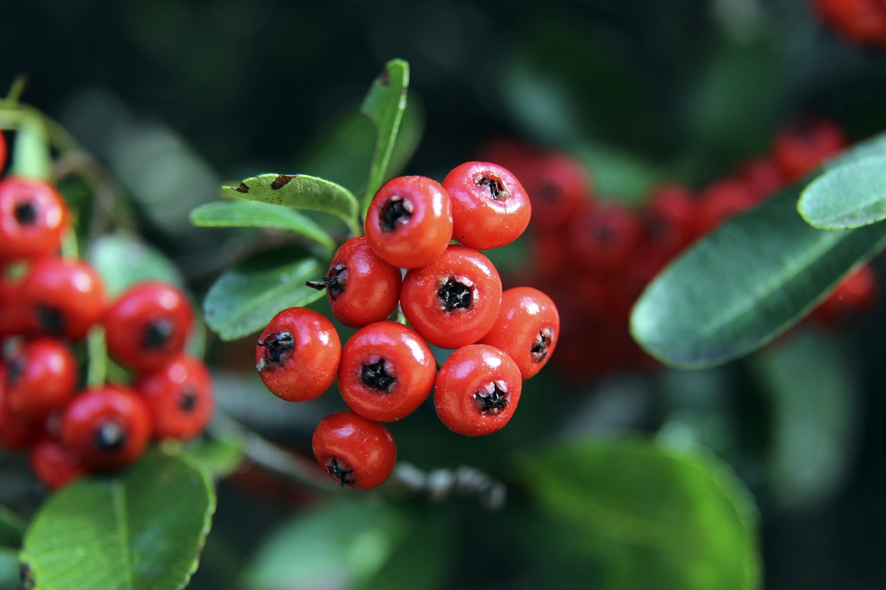 赖个别天才 赖个别天才